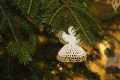 IMG_3707-Copy