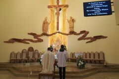 IMG_3714-Copy
