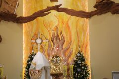 IMG_3717-Copy