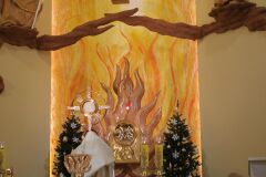 IMG_3719-Copy