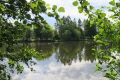 2017-06-10-Roztocze-5763