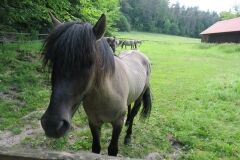 2017-06-10-Roztocze-5766