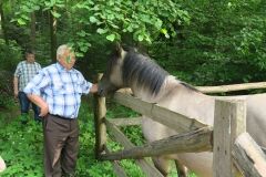 2017-06-10-Roztocze-5767