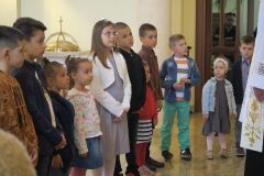 IMG_5497-Copy