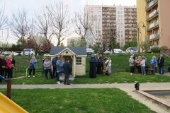 IMG_5154-Copy