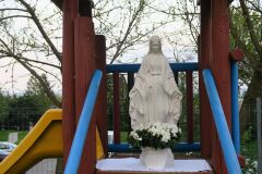 IMG_5156-Copy