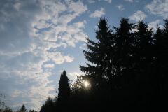 IMG_5404-Copy