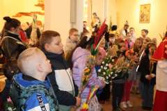 IMG_8709