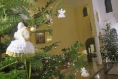 IMG_4711
