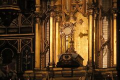 IMG_2494-Copy